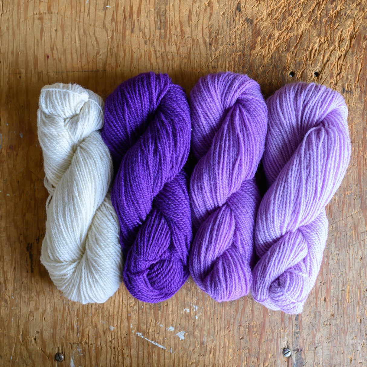 Studio Runner Kit (Purple Tones)