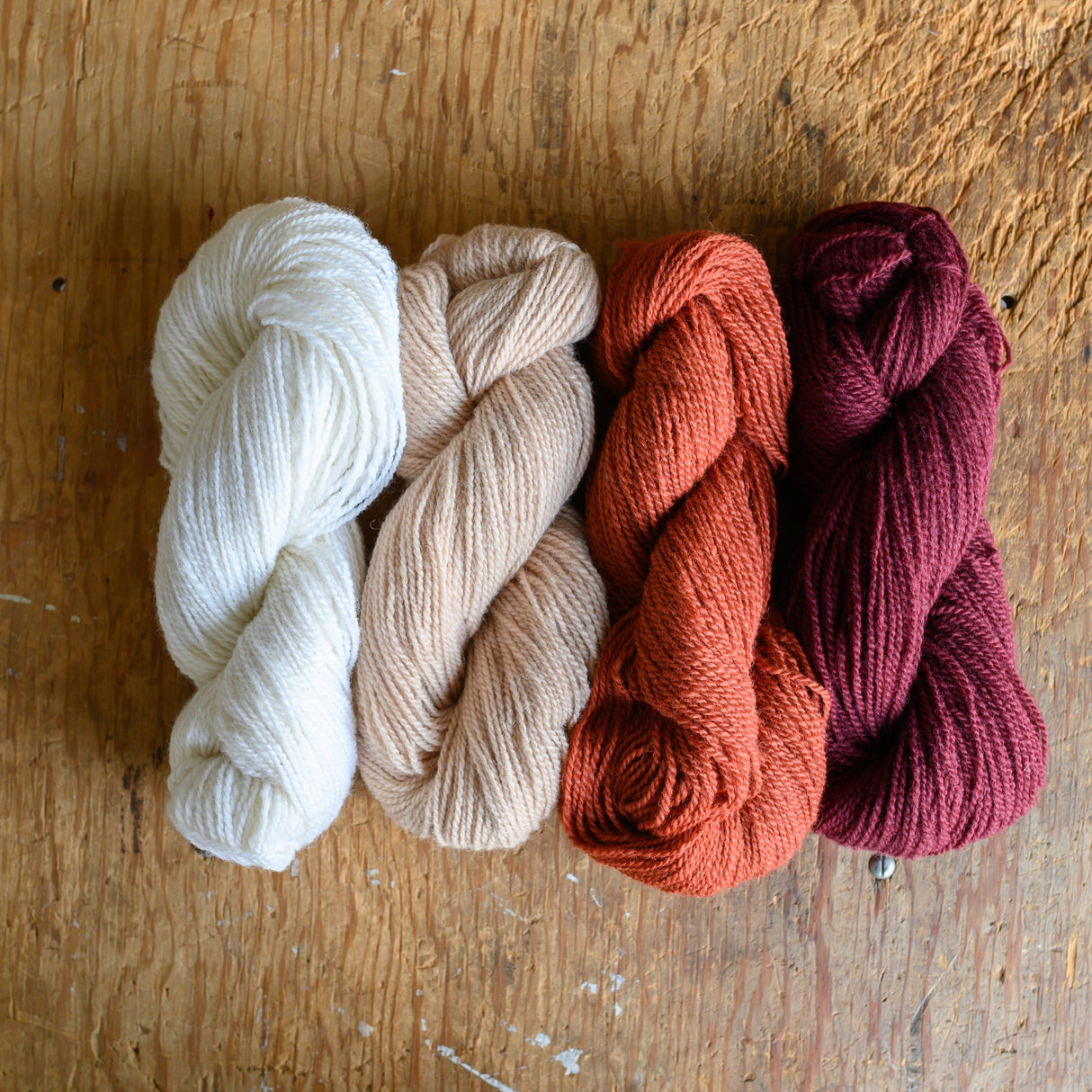 Studio Runner Kit (Fox)