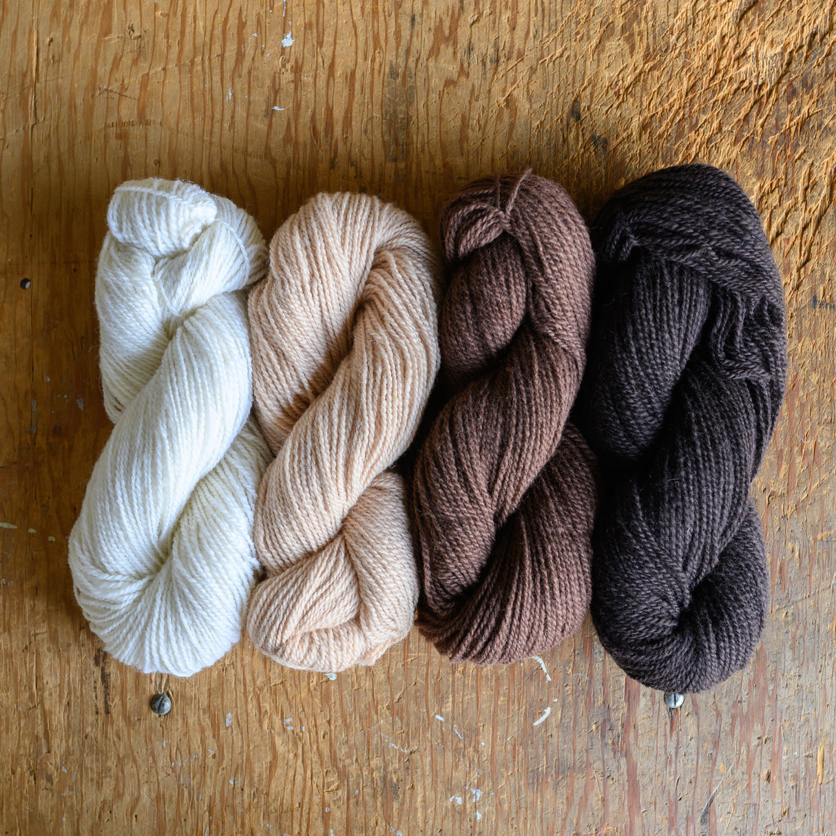 Studio Runner Kit (Brown Tones)