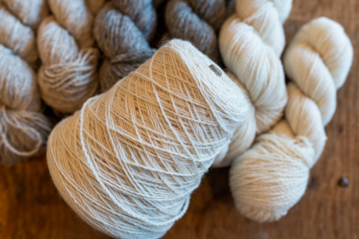 2025 Parkland Blanket Wool Kit: Stripes on Yarrow