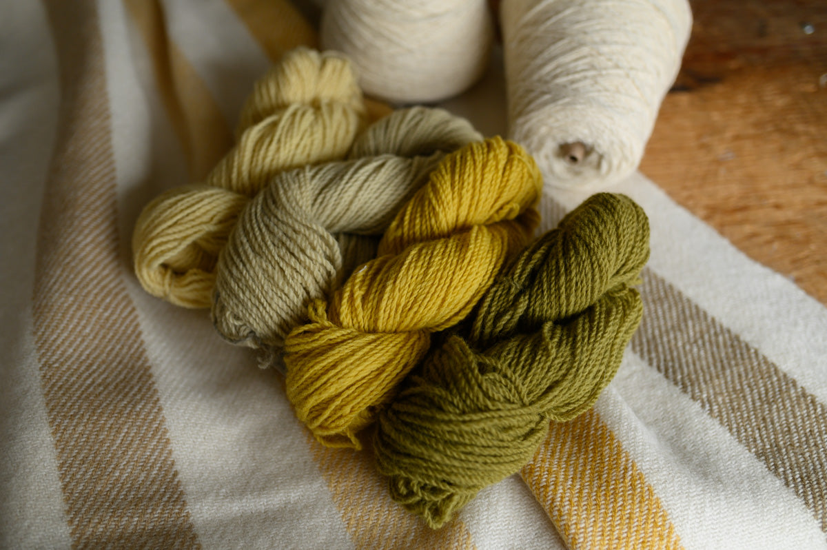 2025 Parkland Blanket Wool Kit: Stripes on Yarrow
