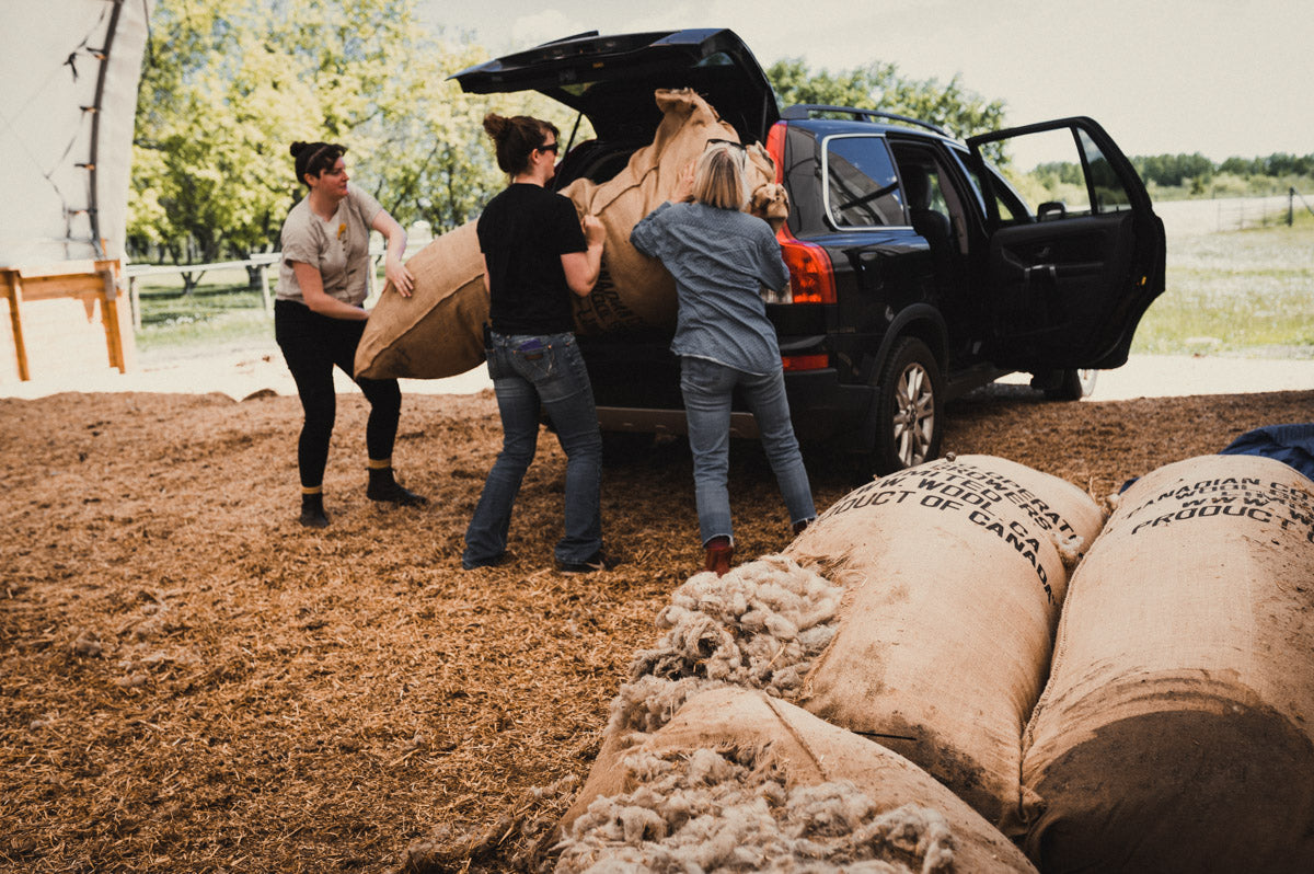Weave a Parkland Throw: October-November 2025