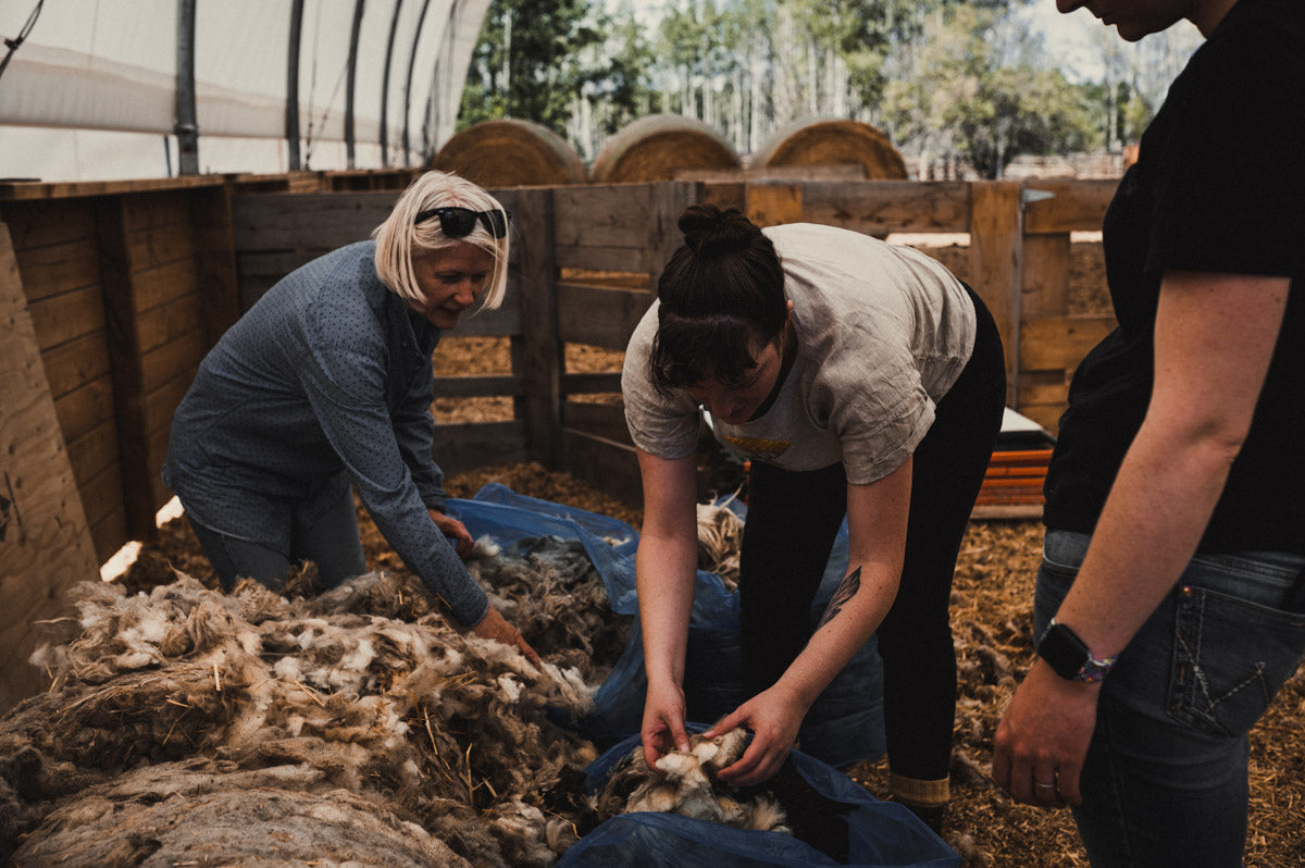 Weave a Parkland Throw: October-November 2025
