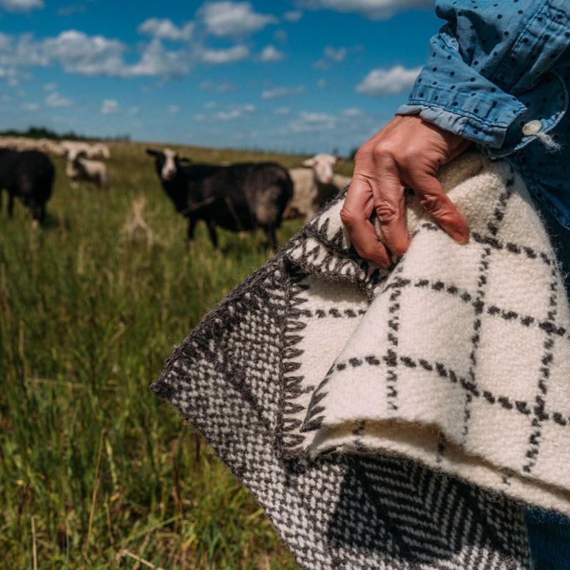 Parkland Blanket Wool Pattern: Broken Twill Checks